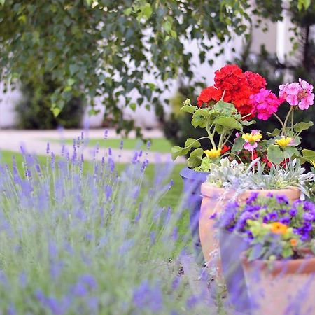Jaszbereny Boutique Room Dış mekan fotoğraf