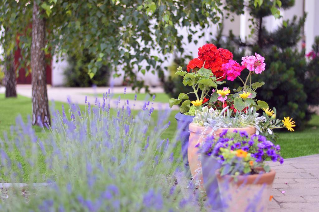 Jaszbereny Boutique Room Dış mekan fotoğraf